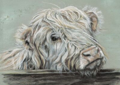 Jackie Millar